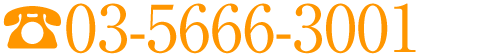 03-5666-3001